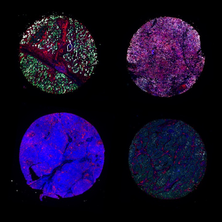 Generic placeholder image